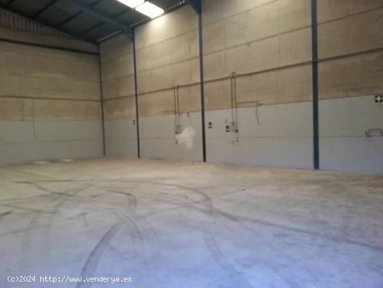 Nave industrial en venta - ALMERIA