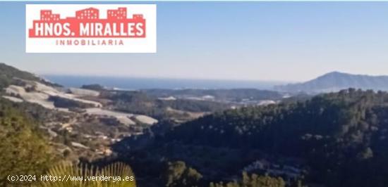 SE VENDE TERRENO RURAL DE 26000M2 - ALICANTE