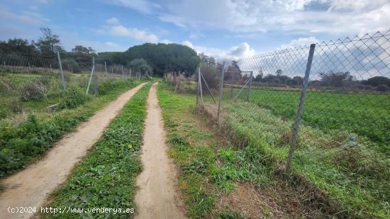 PARCELA PAGO DEL HUMO  SEGREGADA DE 4.472 METROS TOTALMENTE VALLADA !!!! - CADIZ