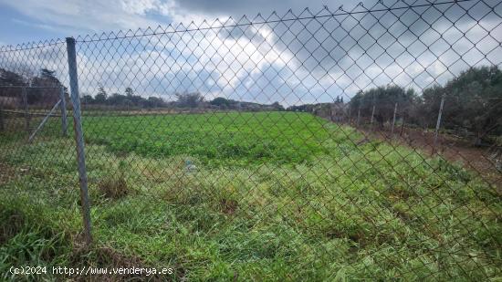 PARCELA PAGO DEL HUMO  SEGREGADA DE 4.472 METROS TOTALMENTE VALLADA !!!! - CADIZ