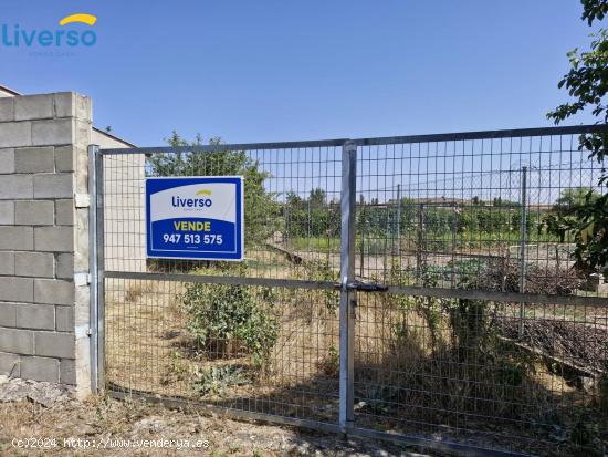  TERRENO VALLADO EN VENTA EN PEÑARANDA - BURGOS 