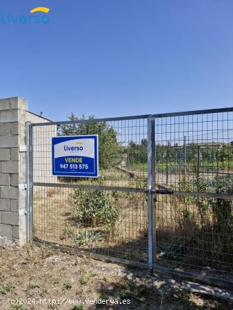 TERRENO VALLADO EN VENTA EN PEÑARANDA - BURGOS