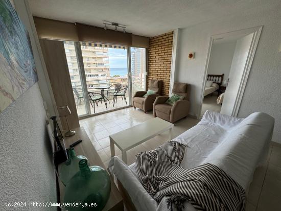 ALQUILER DE TEMPORADA DE EXCELENTE VIVIENDA ZONA SAN JUAN PLAYA - ALICANTE