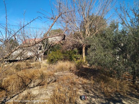 CASA CON TERRENO EN HUERTA ALTA (ALGUAZAS) - MURCIA