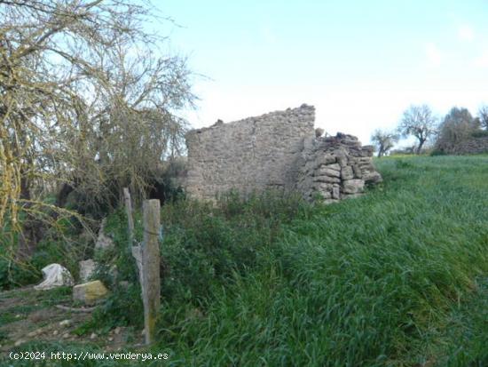 Montuïri , rústica con casita en venta. - BALEARES