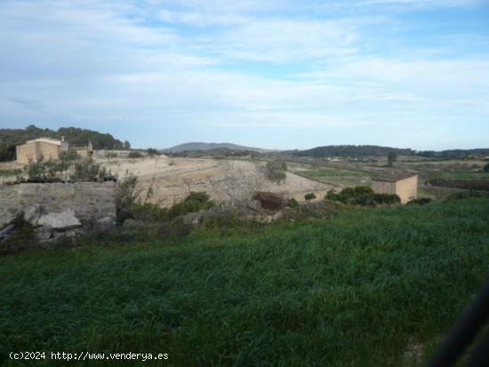 Montuïri , rústica con casita en venta. - BALEARES