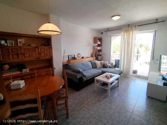 Apartamento en venta en torrevieja playa de los locos - ALICANTE