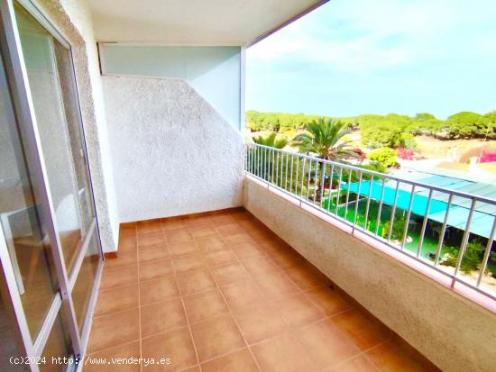 Apartamento en Lomas del Polo Pinomar, Guardamar Dos dormitorios un baño 🌴✨ - ALICANTE