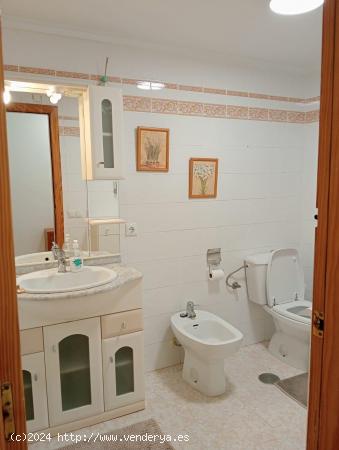 BONITO PISO EN TORREVIEJA: 1 HAB, 1 BAÑO - ALICANTE