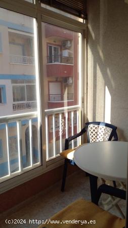 BONITO PISO EN TORREVIEJA: 1 HAB, 1 BAÑO - ALICANTE