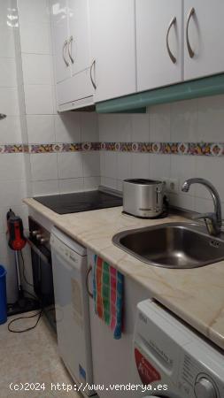 BONITO PISO EN TORREVIEJA: 1 HAB, 1 BAÑO - ALICANTE