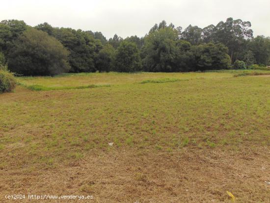  FINCA EN VENTA BERGONDO - A CORUÑA 