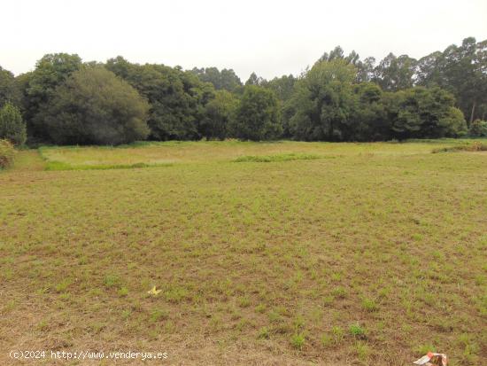 FINCA EN VENTA BERGONDO - A CORUÑA