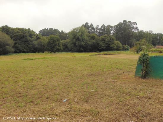 FINCA EN VENTA BERGONDO - A CORUÑA