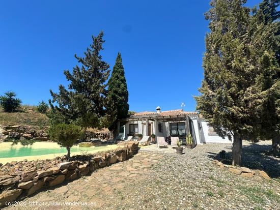 ALMOGIA - CASA RURAL CON PARCELA VALLADA  A LA VENTA -  2 dormitorios, 1 baño , agua, luz. - MALAGA