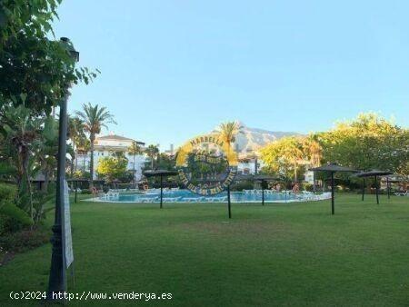 Fantástico Alquiler de Larga Temporada en La Dama de Noche, Marbella. - MALAGA