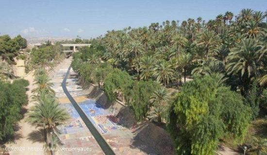 Planta Baja para reformar en zona Puertas Coloradas , Elche. - ALICANTE