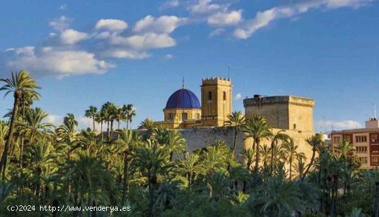 Planta Baja para reformar en zona Puertas Coloradas , Elche. - ALICANTE