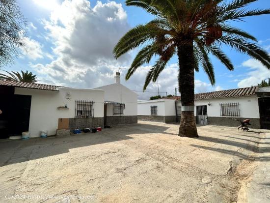  ¡¡6 HECTÁREAS DE TERRENO CON 3 CASAS, NAVES, Y TRASTEROS!! - CADIZ 