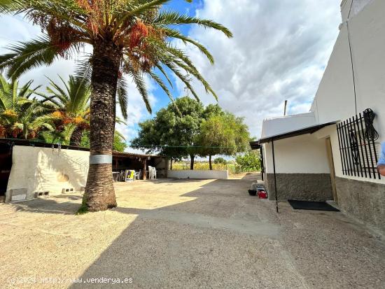 ¡¡6 HECTÁREAS DE TERRENO CON 3 CASAS, NAVES, Y TRASTEROS!! - CADIZ