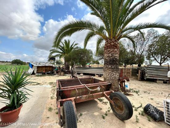 ¡¡6 HECTÁREAS DE TERRENO CON 3 CASAS, NAVES, Y TRASTEROS!! - CADIZ