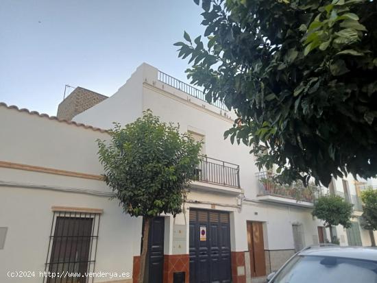 Se Alquila en Los Palacios y Villafranca - SEVILLA