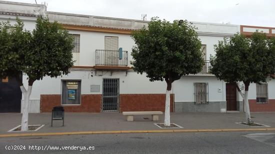 VIVIENDA PARA REFORMAR EN LA LOCALIDAD DE VILLAVERDE DEL RIO, SEVILLA. - SEVILLA