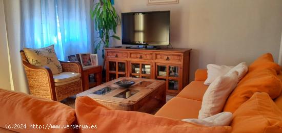 Venta el albir casa planta baja 3 dormitorios 1 baño centro ciudad - ALICANTE