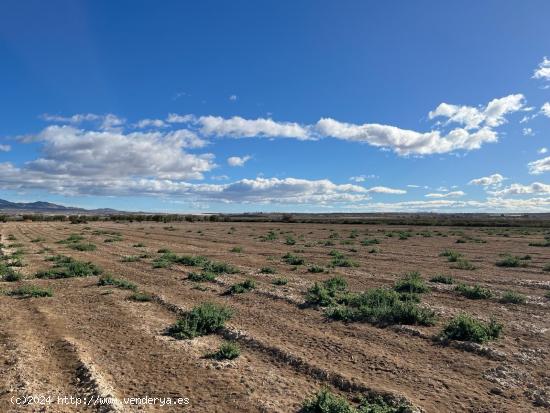  Terreno Rústica - Paraje de la Alcanara, Alhama de Murcia - MURCIA 