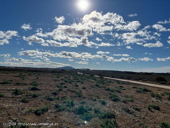 Terreno Rústica - Paraje de la Alcanara, Alhama de Murcia - MURCIA