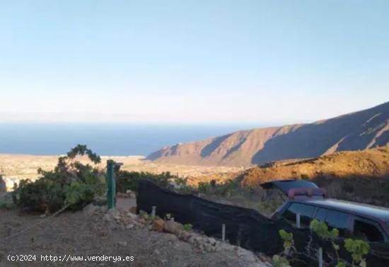 TERRENO EN GUIMAR ALTO TENERIFE - SANTA CRUZ DE TENERIFE