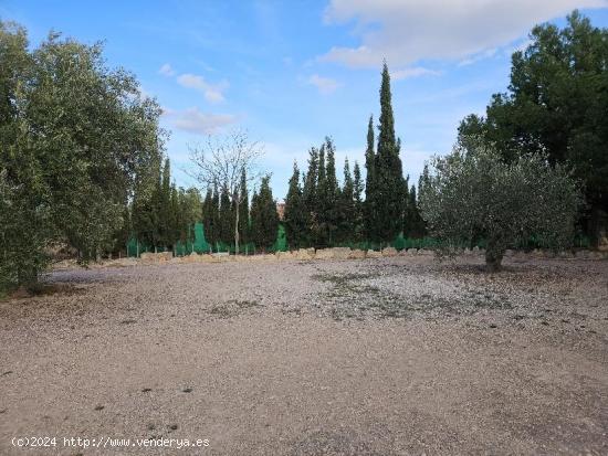 Casa de campo con mucho terreno y mucho espacio. Ideal para todo tipo de personas - ALICANTE