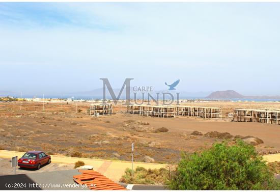 Apartamento vista mar en Corralejo - LAS PALMAS