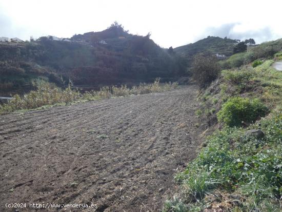 SE VENDE PARCELA RUSTICA - LAS PALMAS