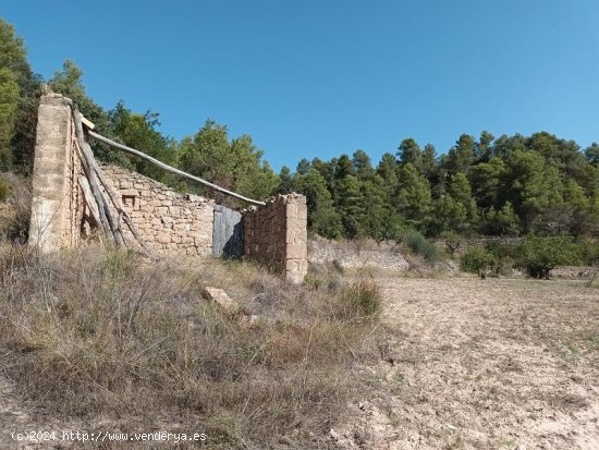 Suelo rústico en venta  en Horta de Sant Joan - Tarragona