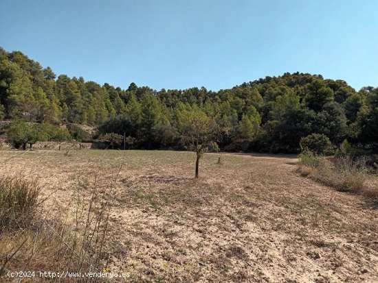 Suelo rústico en venta  en Horta de Sant Joan - Tarragona