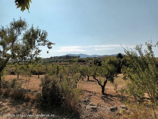 Suelo rústico en venta  en Horta de Sant Joan - Tarragona