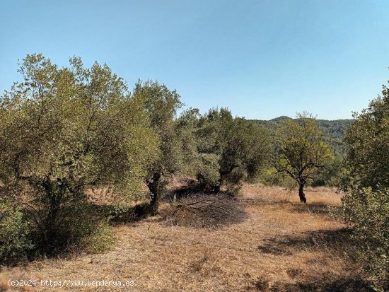 Suelo rústico en venta  en Horta de Sant Joan - Tarragona