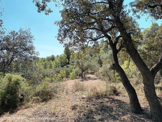 Suelo rústico en venta  en Horta de Sant Joan - Tarragona