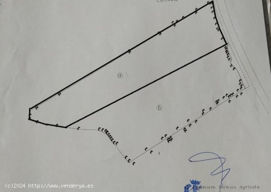 Oportunidad Estratégica en Montilla: Terreno cultivado de viña Urbanizable para Inversores y Agric