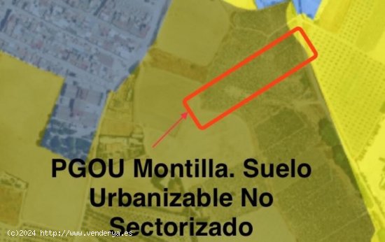 Oportunidad Estratégica en Montilla: Terreno cultivado de viña Urbanizable para Inversores y Agric