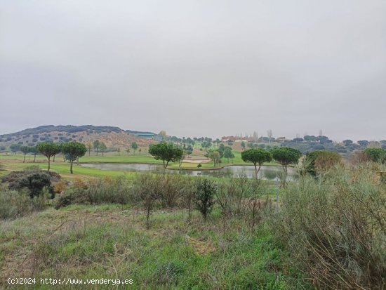 Suelo rústico en Venta en Cabanillas Del Campo Guadalajara