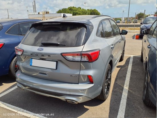 Ford Kuga STLine X 2.5 Duratec PHEV 165kW Auto 5p. - Rubí