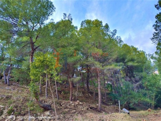 Parcela en Sierra de Altea