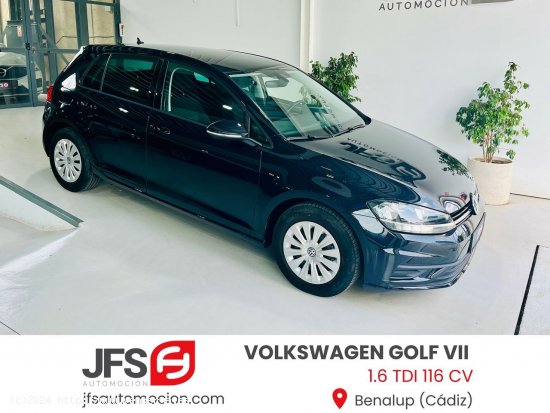  Volkswagen Golf 1.6 TDI 116 CV - Benalup 