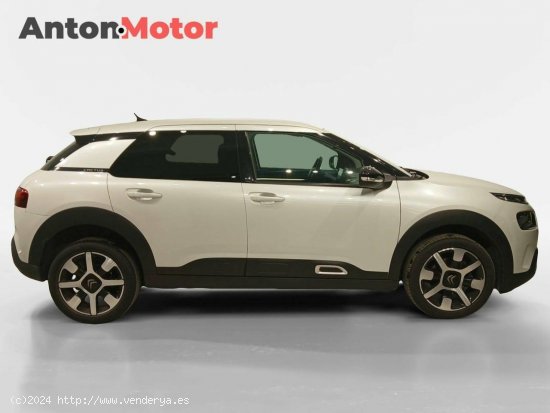 Citroën C4 Cactus  PureTech 130 S&S EAT6 Shine Pack - VITORIA