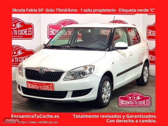 Skoda Fabia 1.2 Ambition de 2013 con 75.903 Km por 7.400 EUR. en Tarragona