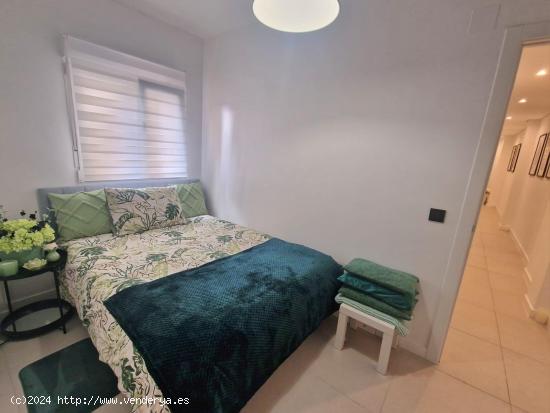 APARTAMENTO REFORMADO EN EL CORAZON DE TORREVIEJA. - ALICANTE