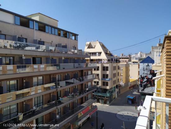  Amplio piso ubicado en famoso paseo de Benidorm, cerca de Plaza Triangular y 3 playas de Benidorm. - 