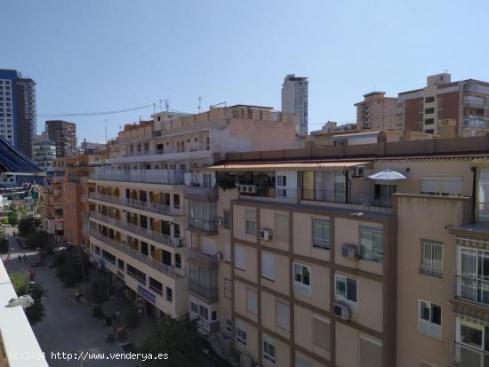 Amplio piso ubicado en famoso paseo de Benidorm, cerca de Plaza Triangular y 3 playas de Benidorm. -